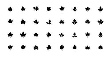 geïsoleerd abstract bladeren pictogrammen reeks Aan wit achtergrond. eco reeks van zwart lijn blad pictogrammen vector