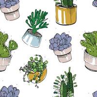 naadloos patroon met hand- getrokken vetplanten en cactus in potten. kleurrijk vector illustratie Aan wit achtergrond.