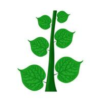 blad groen fabriek illustratie vector