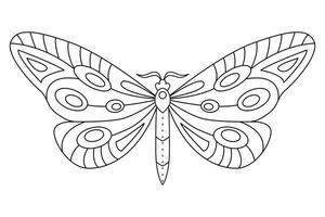 vlinder zwart wit geïsoleerd schetsen illustratie. kleur bladzijde voor kinderen en volwassenen. vector