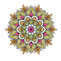 vector hand- getrokken tekening mandala. etnisch mandala met kleurrijk tribal ornament. geïsoleerd. helder kleur