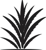 botanisch oase aloë vera zwart logo icoon natuurlijk welzijn aloë vector fabriek in zwart