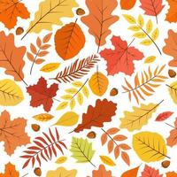 herfst bladeren met eikels naadloze achtergrond. vector