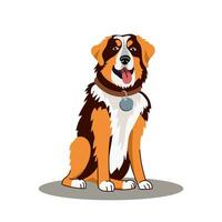 een hond van de sennenhond ras. vector illustratie Aan een wit achtergrond