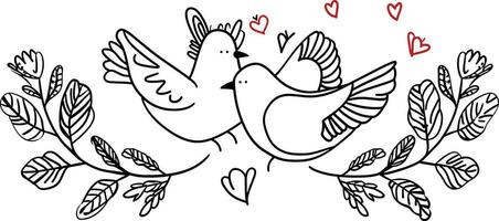 paar duif van liefde, vector van duif lijn kunst illustratie , Valentijnsdag dag concept, romantisch symbool, liefde thema, decoratief, romantisch vogels, Valentijnsdag decoratie, paar vogelstand