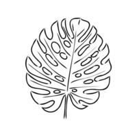 monstera blad vector schetsen