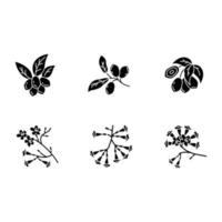 braziliaanse flora zwarte glyph pictogrammen ingesteld op witruimte vector