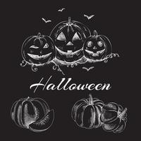 Halloween handgemaakte illustratie set vintage schetsen op een zwart bord. pompoenen schets vectorillustratie. herfst kalebas oogst. vector