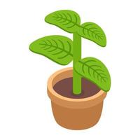 decoratieve plantconcepten vector