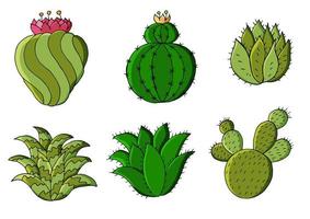 schattige vectorillustratie. cactussen, aloë, vetplanten. decoratieve natuurlijke elementen vector