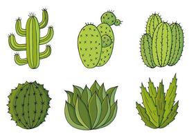 schattige vectorillustratie. cactussen, aloë, vetplanten. decoratieve natuurlijke elementen vector