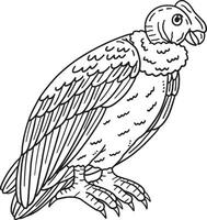 andean condor vogel geïsoleerd kleur bladzijde voor kinderen vector