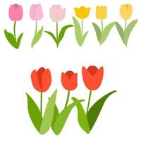 tulpen clip art verzameling reeks vector