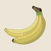 bananen illustratie Aan een wit achtergrond vector