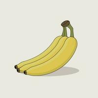 bananen illustratie Aan een wit achtergrond vector