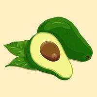 kleurrijke avocado. schetsen met gesneden avocado. vectorillustratie geïsoleerd. vector