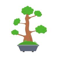 bonsai boom in pot illustratie vector