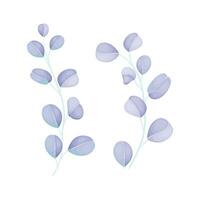 vector blauw blad hand- getrokken vector botanisch illustratie