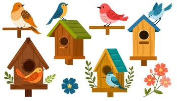 vogel huizen reeks vector illustratie. vogelhuisje met een vogel, eigengemaakt nesten, voeders en huizen, voor zomer en voorjaar vogels. tekenfilm schattig kleurrijk vogelhuisjes verzameling, voeder Aan tuin boom