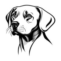 schattig hond vector zwart en wit tekenfilm karakter ontwerp verzameling. wit achtergrond. huisdieren, dieren.