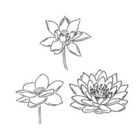 lotus bloem vector schetsen
