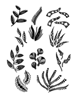 Set van Doodle Leaves hand draw vector