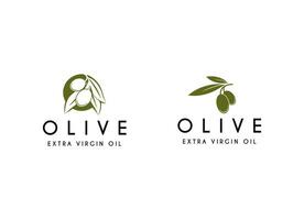 olijf- olie logo ontwerp vector icoon natuur schoonheid en Gezondheid