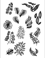 Set van Doodle Leaves hand draw vector