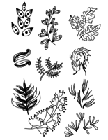 Set van Doodle Leaves hand draw vector