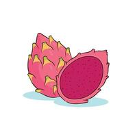 hand- getrokken draak fruit vector