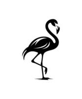 flamingo silhouet vector illustratie ontwerp