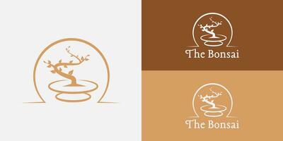 siloute goud bonsai logo toegepast voor de botanisch en tuinieren bedrijf gepresenteerd met meerdere achtergrond kleuren en het is geschikt voor natuur bedrijf logo ontwerp inspiratie sjabloon vector