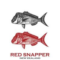 rood snapper visvangst logo vector