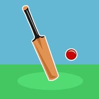 eenvoudige cricket bat en bal sportuitrusting vector