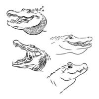 krokodil vector schetsen