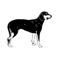 oostenrijks zwart en bruinen hond vector schetsen