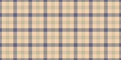 gevormde achtergrond naadloos controleren, isolatie patroon plaid tartan. zuiverheid textiel kleding stof vector structuur in pastel en licht kleuren.