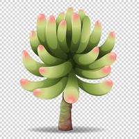 Cactusbloem op transparante achtergrond vector