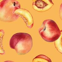 waterverf naadloos patroon met nectarines en perziken geïsoleerd Aan achtergrond. geheel rijp en voor de helft vruchten. abrikoos hand- getrokken. ontwerp element voor pakket, textiel, omhulsel papier, kleding stof vector