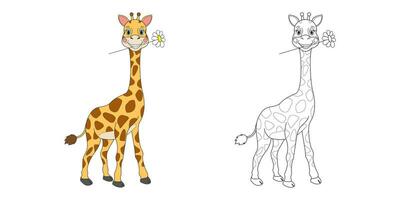 giraffe illustratie lijn en kleur. tekenfilm vector illustratie voor kleur boek of bladzijde.