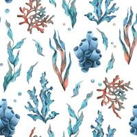 onderwater- wereld clip art met zee dieren, bubbels, koraal en algen. hand- getrokken waterverf illustratie. naadloos patroon vector