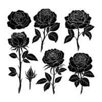 vector vlak ontwerp rozen silhouet wit achtergrond