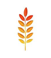 herfst lijsterbes blad in rood, oranje en geel tinten vector