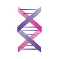 paars en roze dna vector