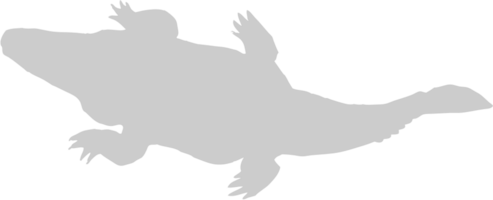 alligator vector