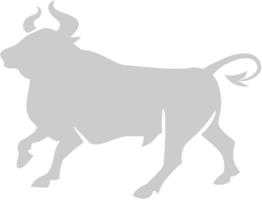 stier vector