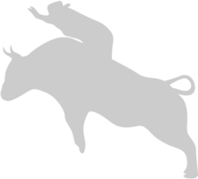 stier vector