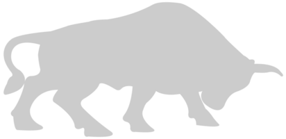 stier vector