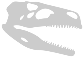 dinosaurussen schedel vector