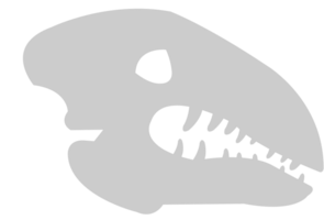 dinosaurussen schedel vector